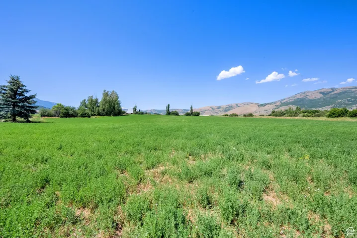 View of yard featuring a mountain view and a view of countryside