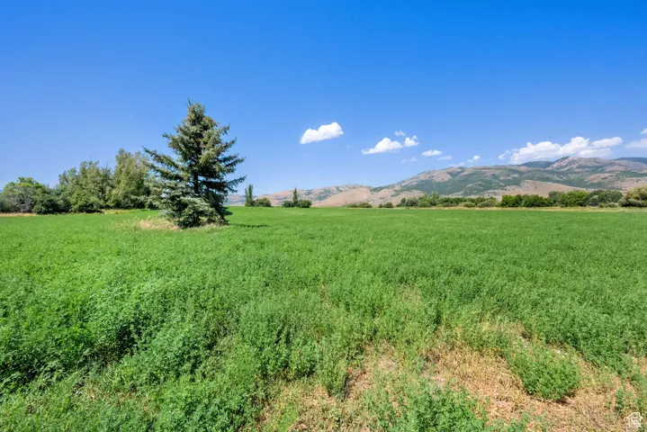View of mountain background with rural landscape
