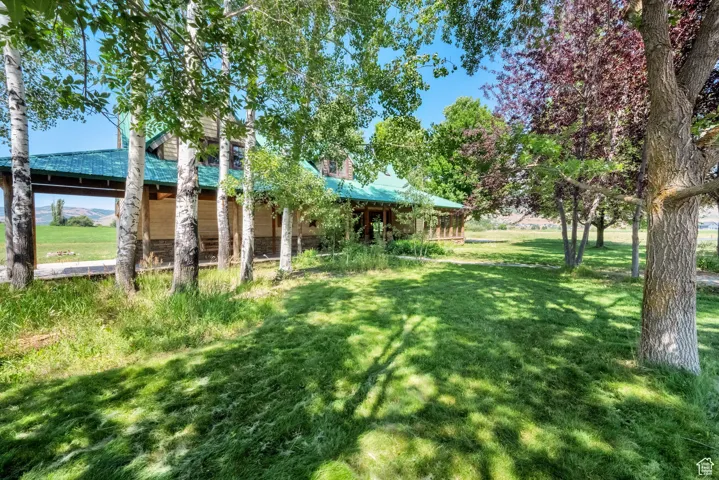 View of grassy yard