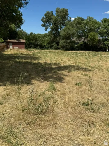 View of yard featuring a rural view