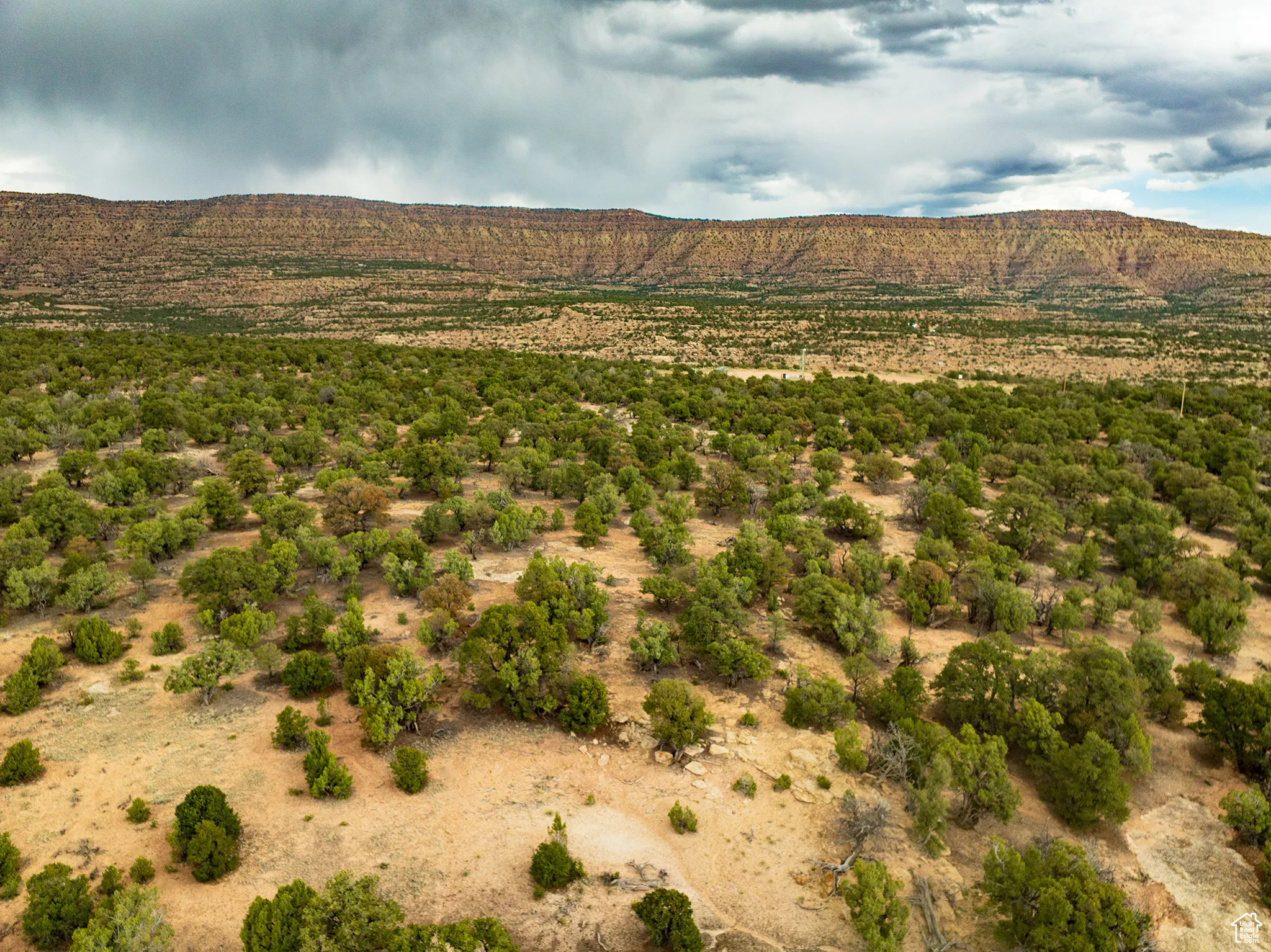 View of mountain background with a desert landscape featuring mature Pinion Pines and Juniper trees.