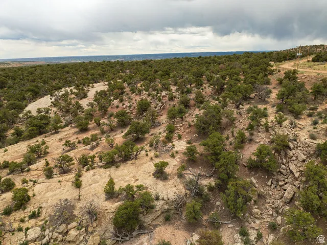 Aerial view of property's location with a forest