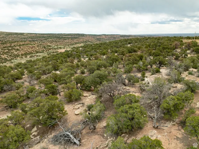 View of property location