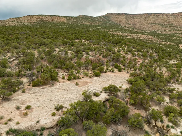 View of mountain background