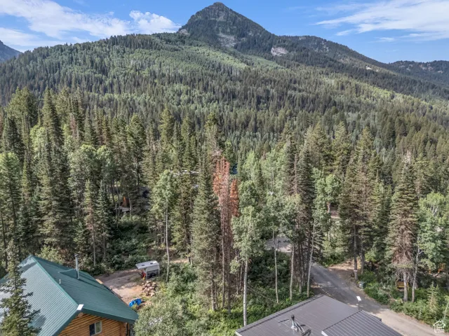 Mountain view featuring a heavily wooded area