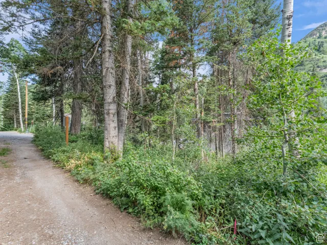 View of undeveloped land