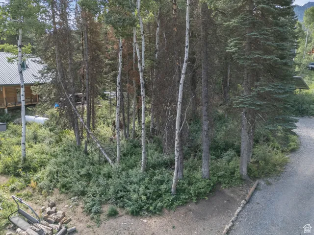 View of nature