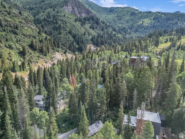 Mountain view featuring a heavily wooded area