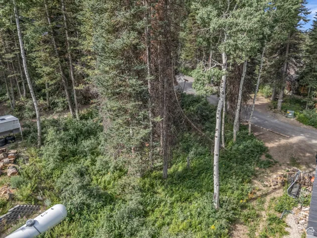 View of woods