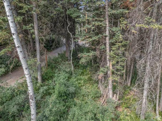 View of woods