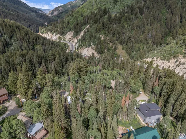 Aerial view of property's location with a heavily wooded area and a mountain backdrop