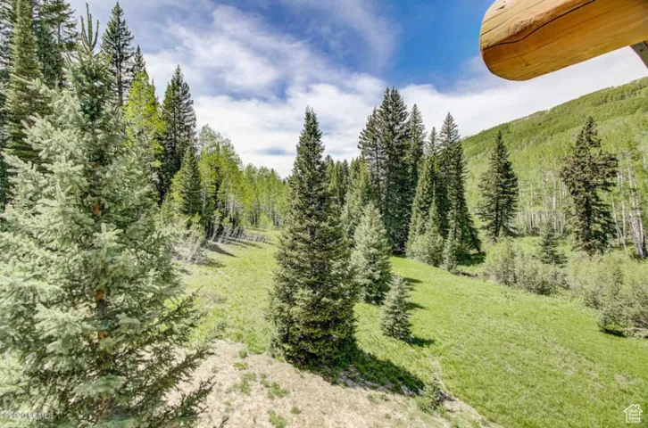 View of yard with a wooded view