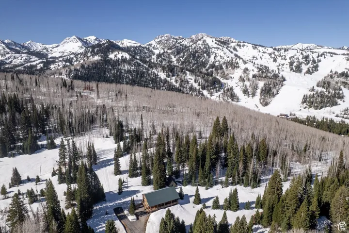 Mountain view featuring a forest