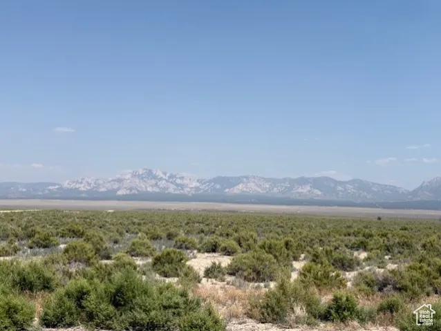 View of mountain background