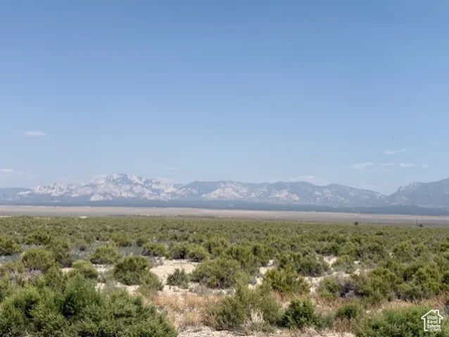 View of mountain background