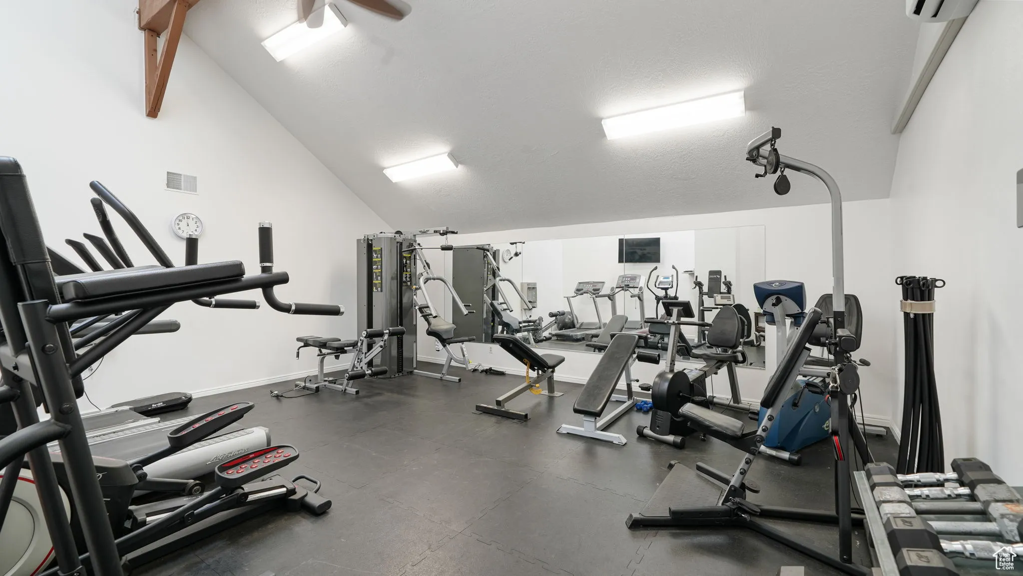 Exercise room featuring lofted ceiling and a ceiling fan