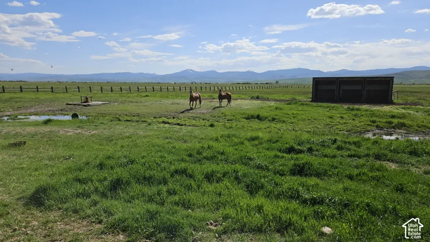 Expansive green pastures featuring a wooden fence line, a watering trough, and a three-stall shelter