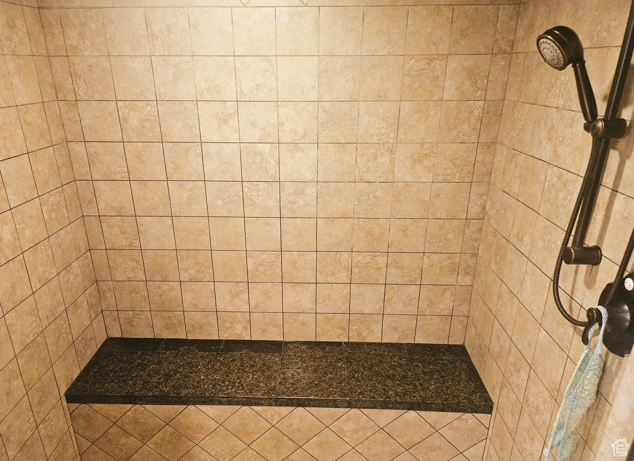 Master Bathroom: Separate Shower