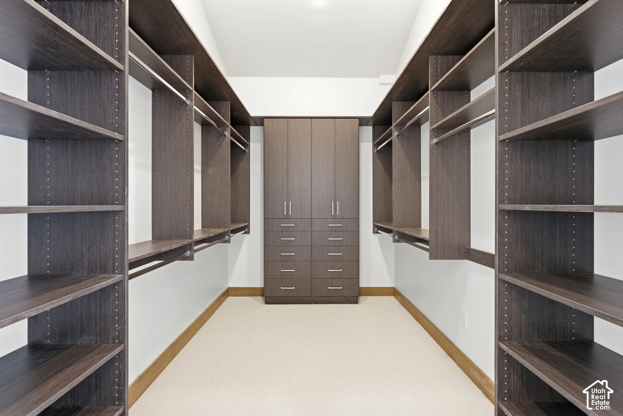 Walk in closet with light colored carpet