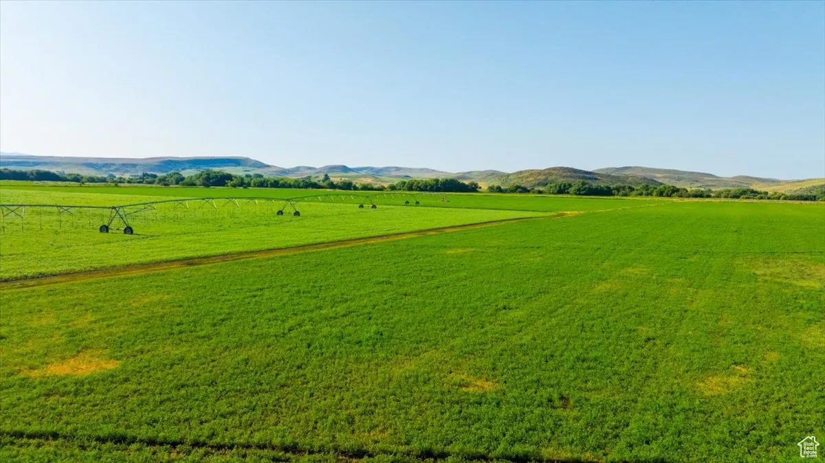View of home's community with a rural view, a mountain view, and a yard