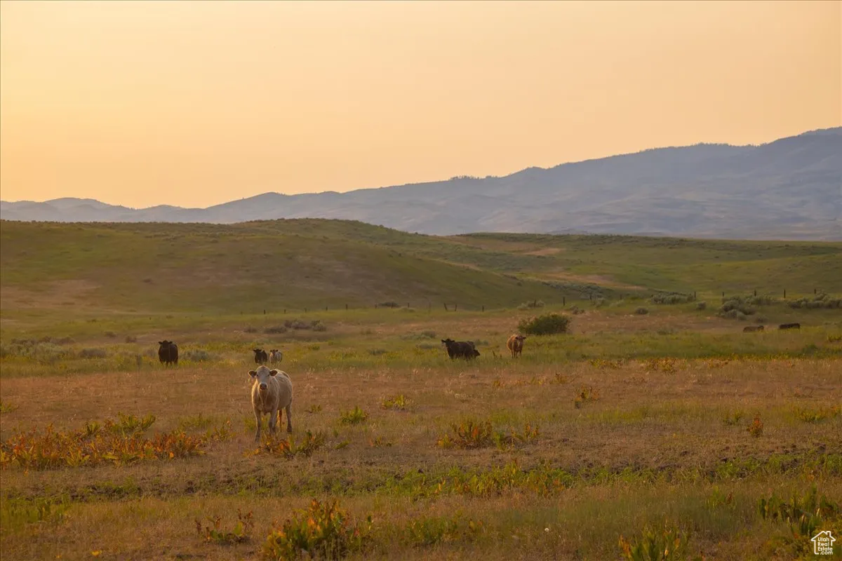 Mountain view featuring rural landscape and agricultural land