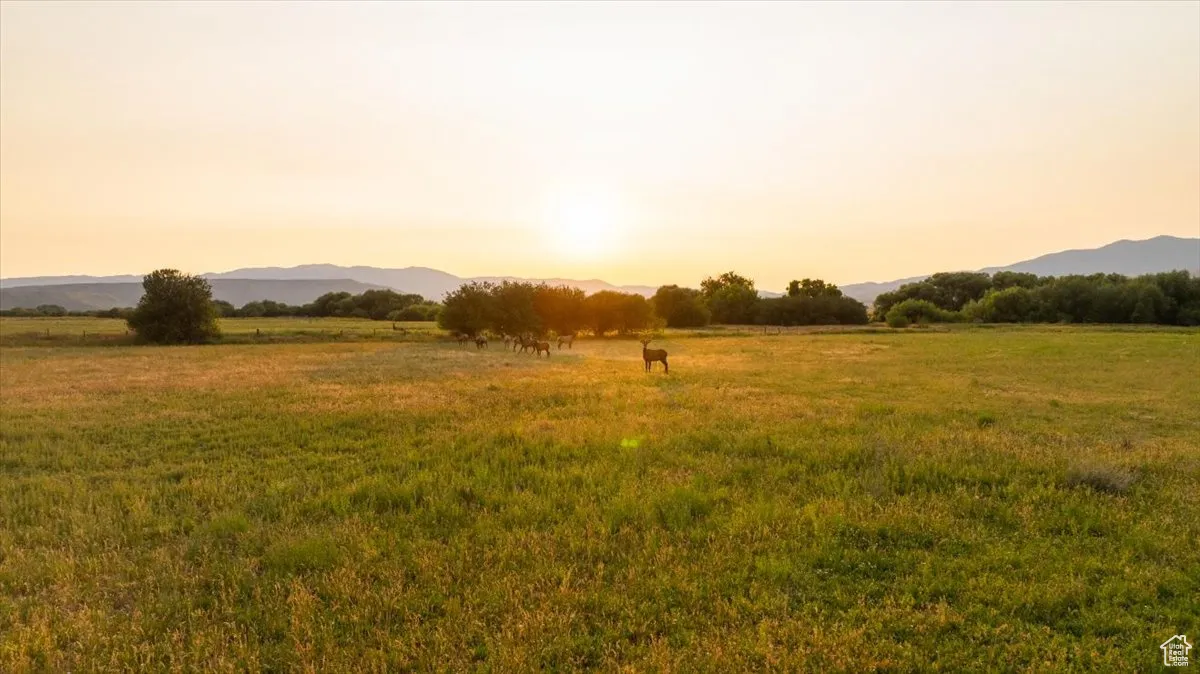 View of local wilderness featuring a mountain backdrop and rural landscape