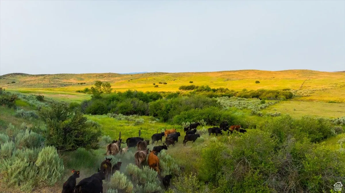 View of mountain backdrop with rural landscape