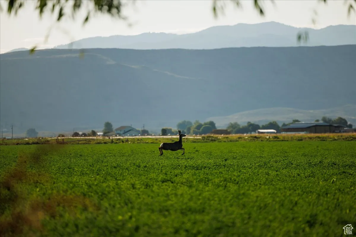 View of mountain background featuring rural landscape