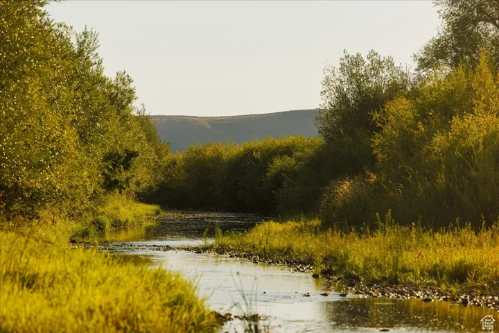 Water view featuring a forest