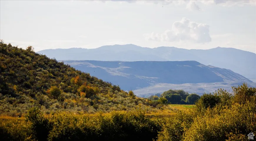 Mountain view featuring a heavily wooded area