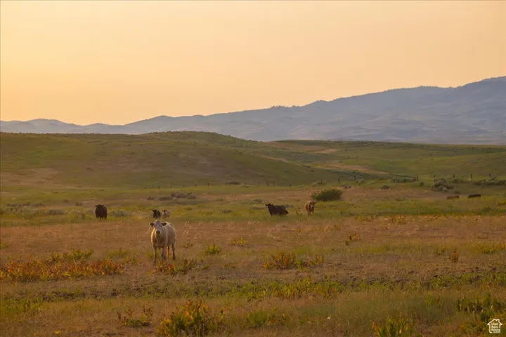 Mountain view featuring rural landscape and agricultural land