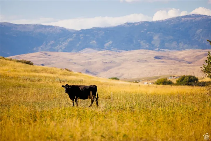 View of mountain background with rural landscape