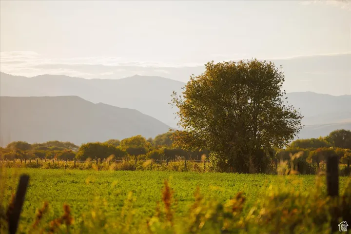 Mountain view