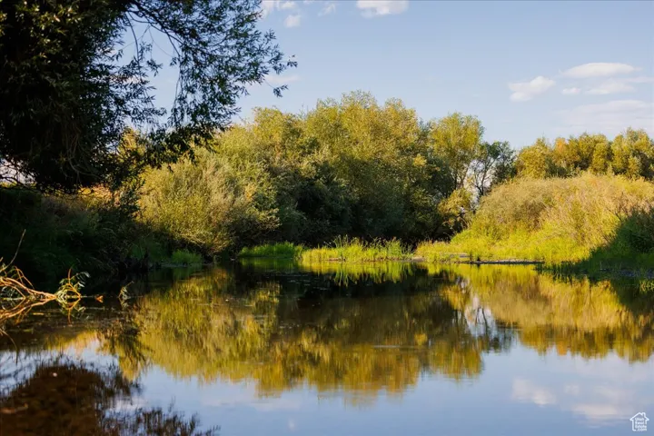Water view featuring a forest