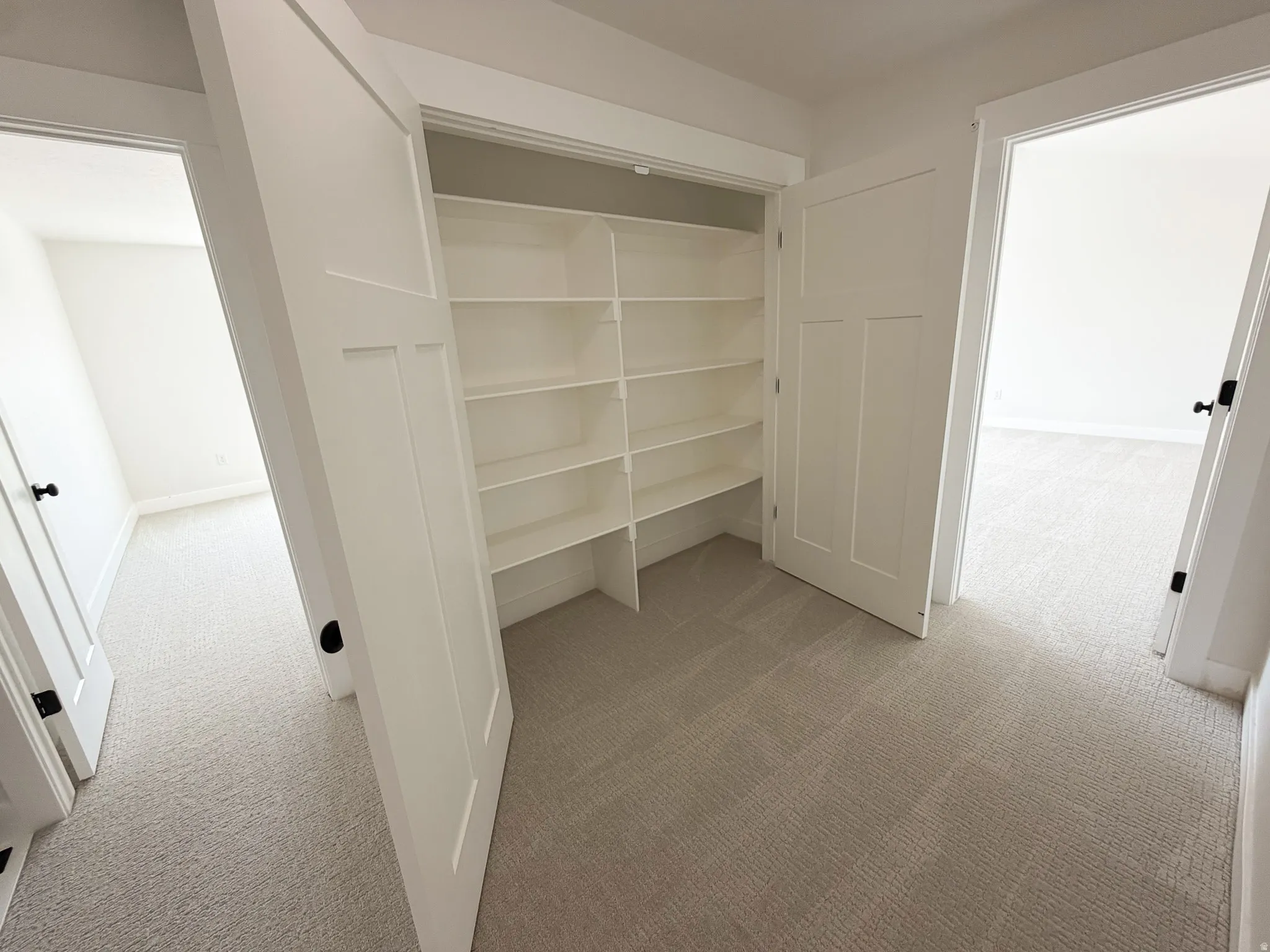 Integrated hallway storage featuring built-in shelving, paneled doors, and neutral carpeting