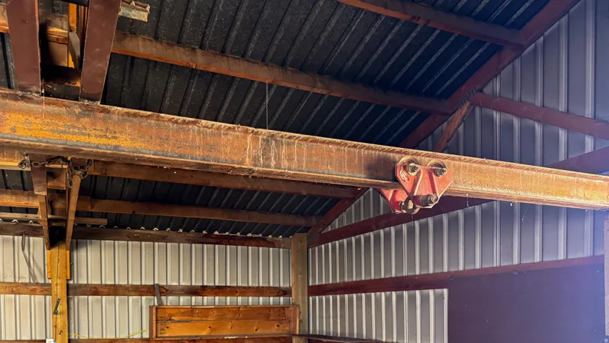 Engine hoist/crane