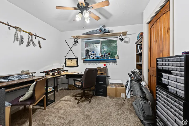 Office space featuring carpet and ceiling fan