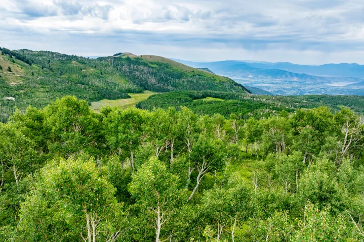 , Midway, Utah 84049