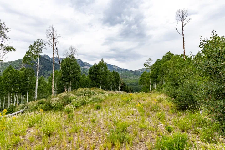 , Midway, Utah 84049