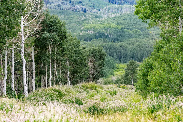 , Midway, Utah 84049