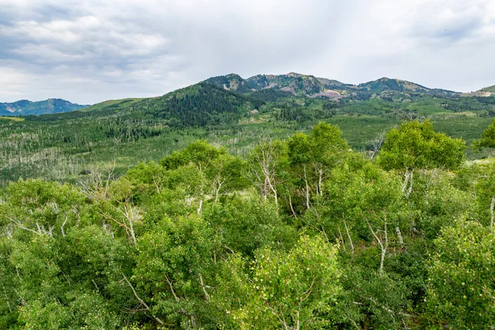 , Midway, Utah 84049