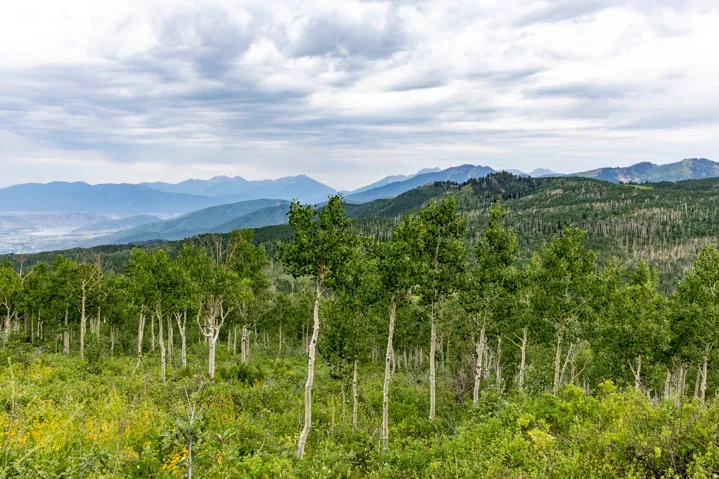 , Midway, Utah 84049