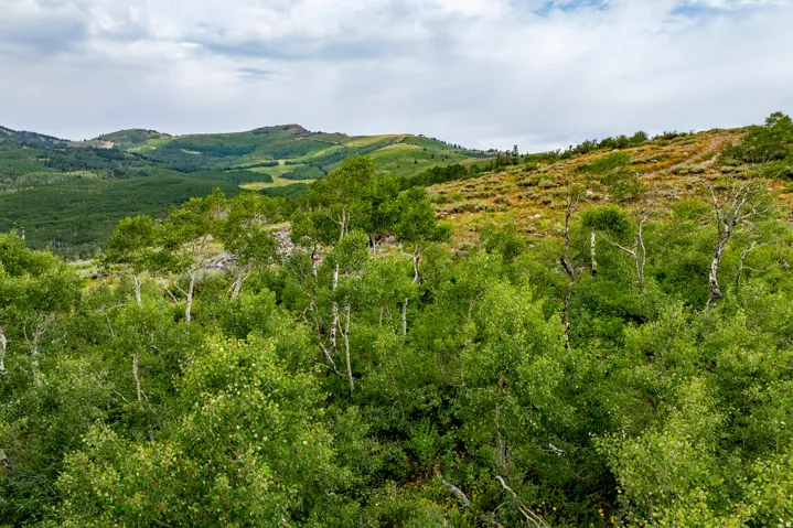 , Midway, Utah 84049