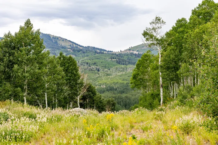 , Midway, Utah 84049