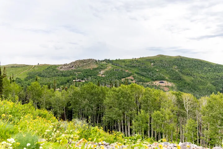 , Midway, Utah 84049