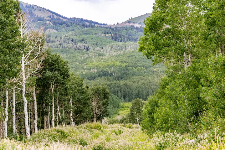 , Midway, Utah 84049