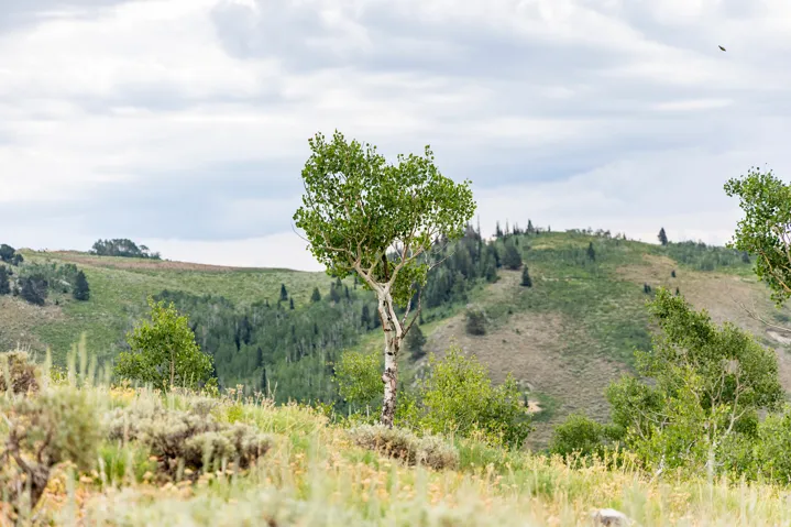 , Midway, Utah 84049
