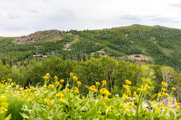 , Midway, Utah 84049