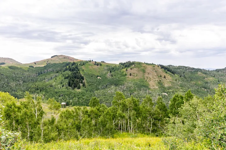 , Midway, Utah 84049