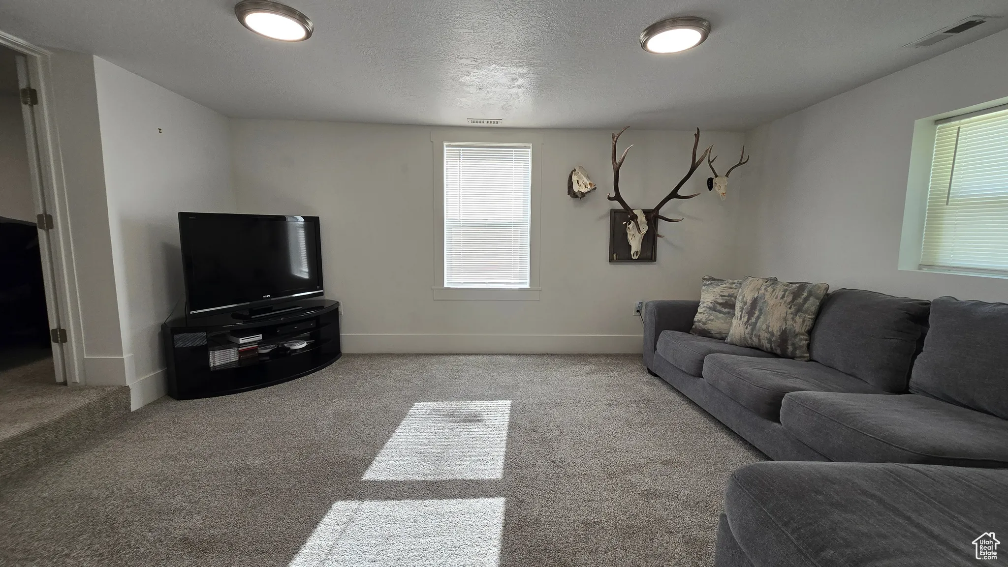 Carpeted living area featuring baseboards and a textured ceiling